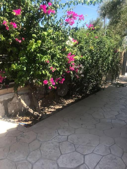 Πέτρινη Κατοικία Στην Αίγινα - Stone House In Aigina Khloi Exterior foto