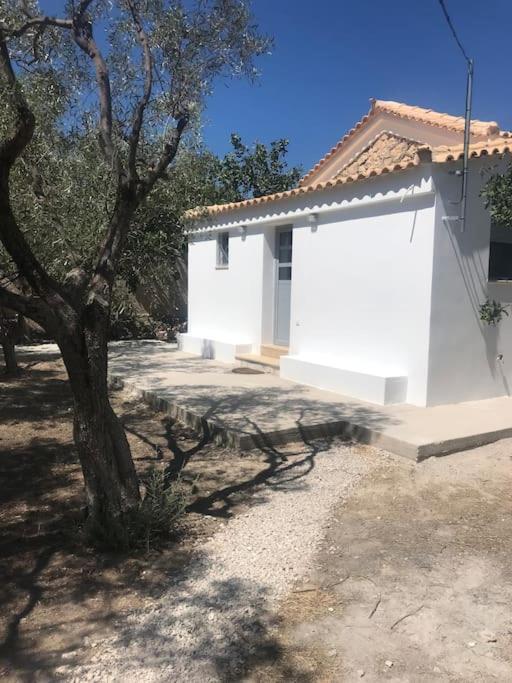 Πέτρινη Κατοικία Στην Αίγινα - Stone House In Aigina Khloi Exterior foto